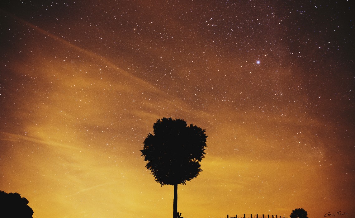 Under the Stars