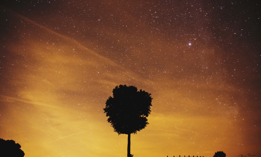 Under the Stars