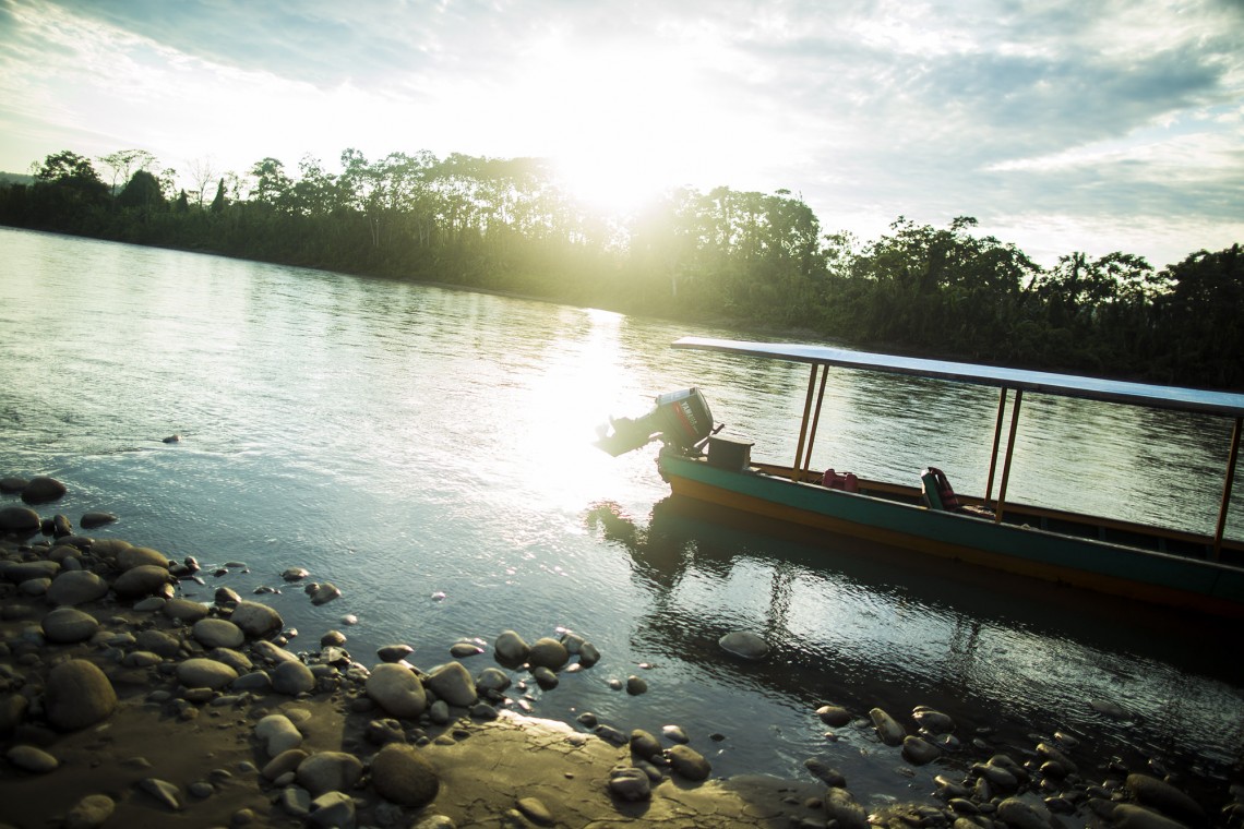 Amazonas