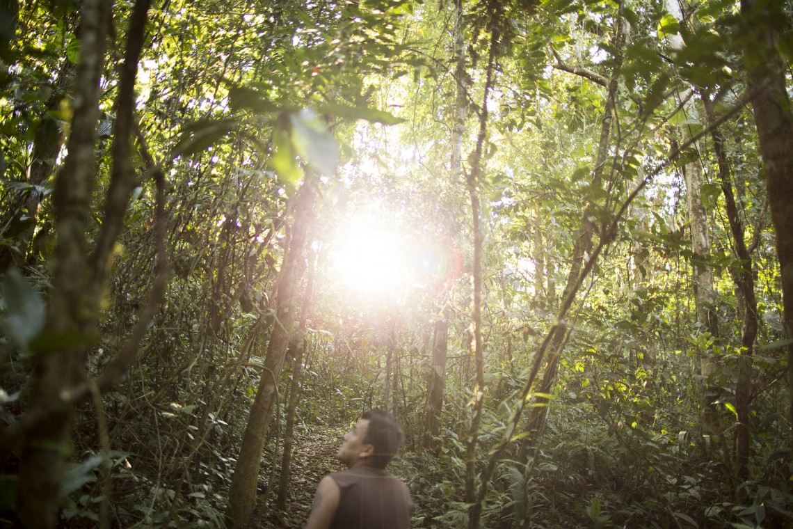 Amazonas