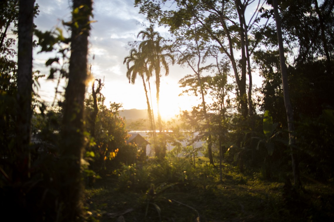 Amazonas