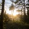 Amazonas