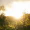 Behind the Garden