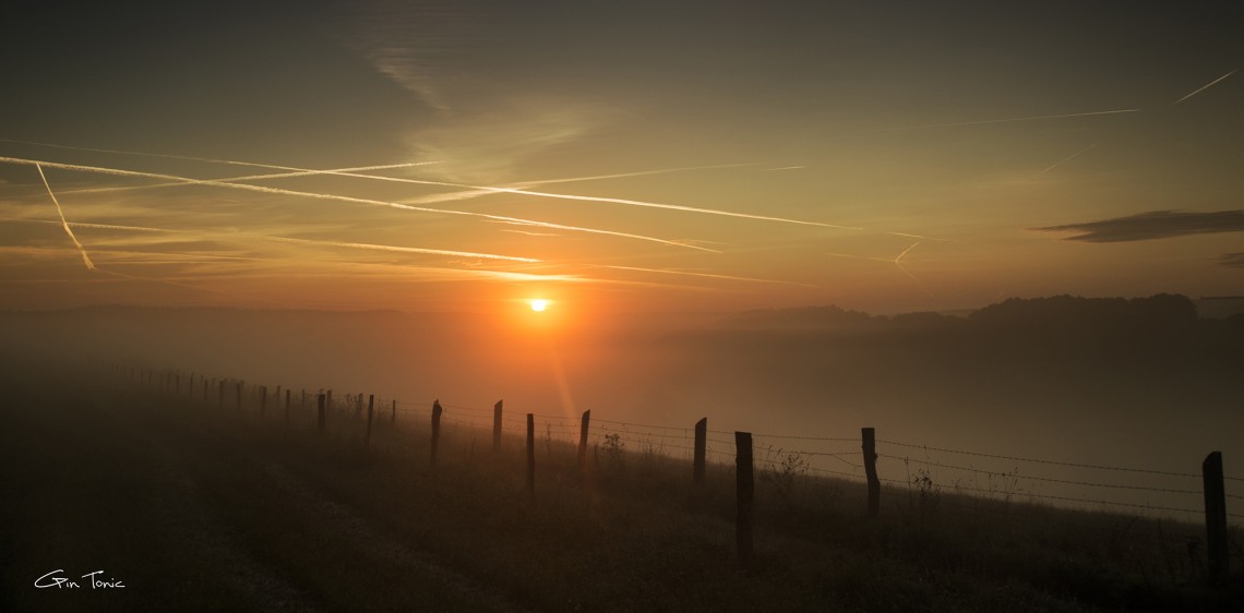 Sunrise Baschelt