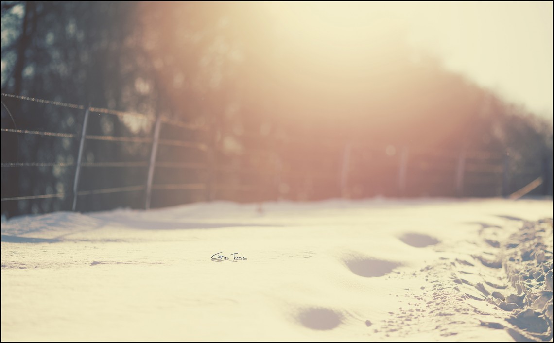 coldness at its best
