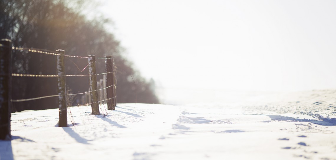 coldness at its best