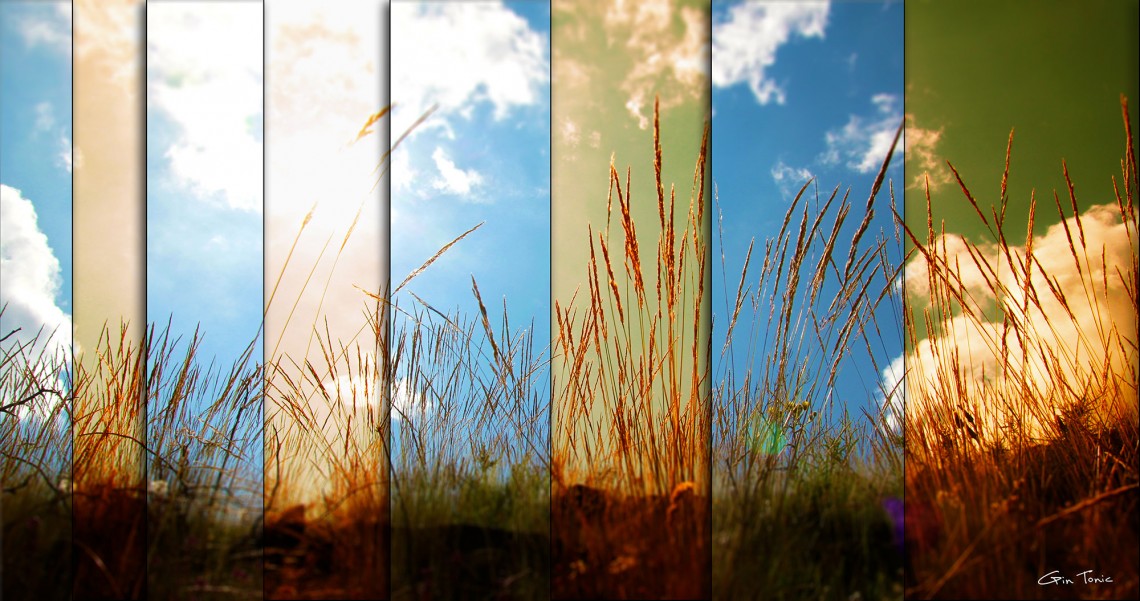 just a sunny day
