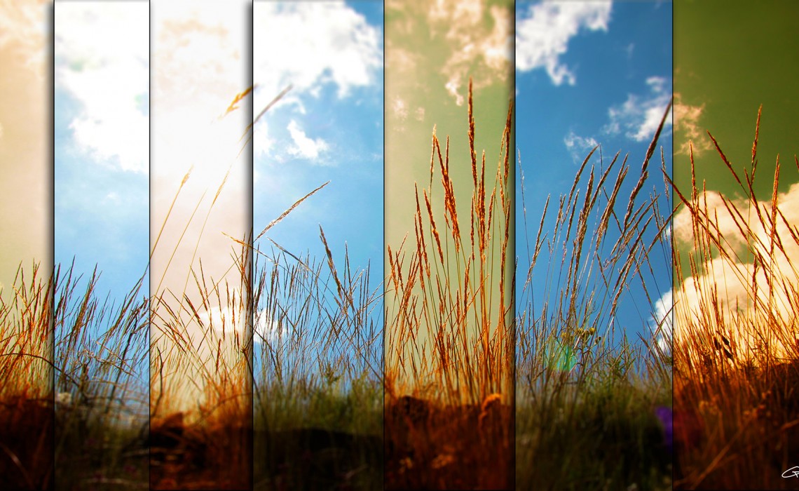 just a sunny day
