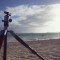 Domenican Republic 33